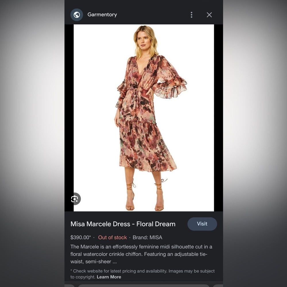 MISA Los Angeles Marcelle dress, size XS in Floradream